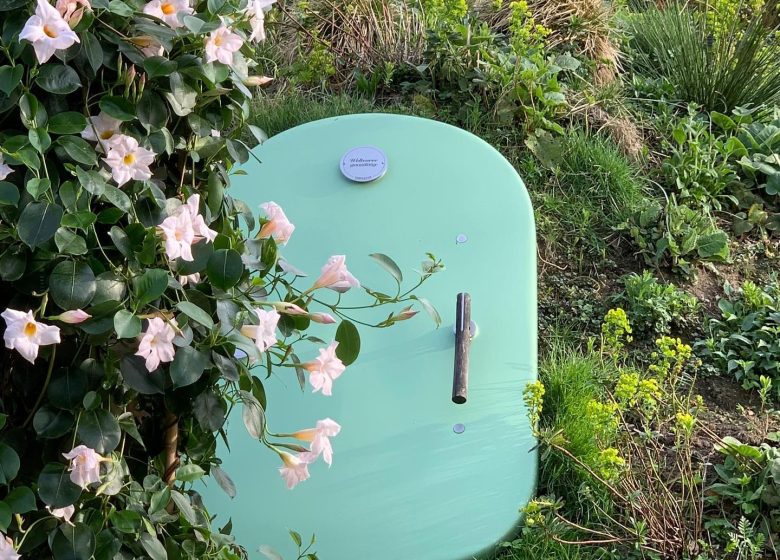 302295934_3222385767999362_3185802206037940878_n